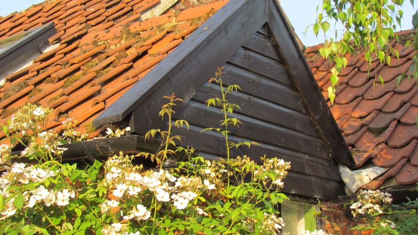 Garage end replaced with shiplap timber stained black.